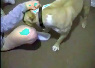 Prodigious teen with a dirty dog