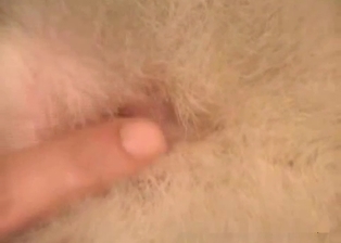 Animal hole licked nicely by a filthy bestiality XXX
