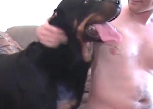 Man zoophile sucks a dog dick