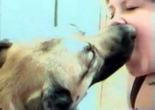 Pooch gets sucked by zoophile